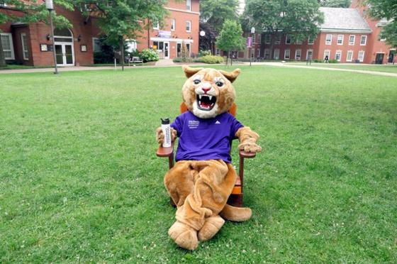 图为波胆网站吉祥物美洲狮卡森坐在阴凉校园的椅子上