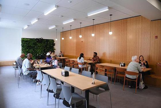 Photo of people eating in the newly renovated Anderson 餐厅 Hall near a plant wall