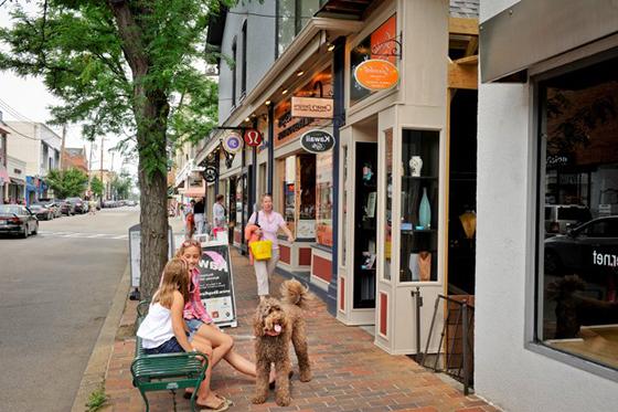 Photo of Pittsburgh's Walnut Street in Shadyside, with shops and people walking